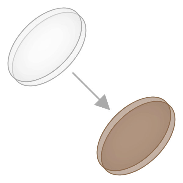 調光レンズ:ブラウン(1.56)