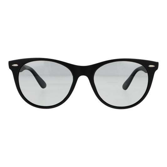 wfsp-01-c1 マットブラック/ライトスモーク