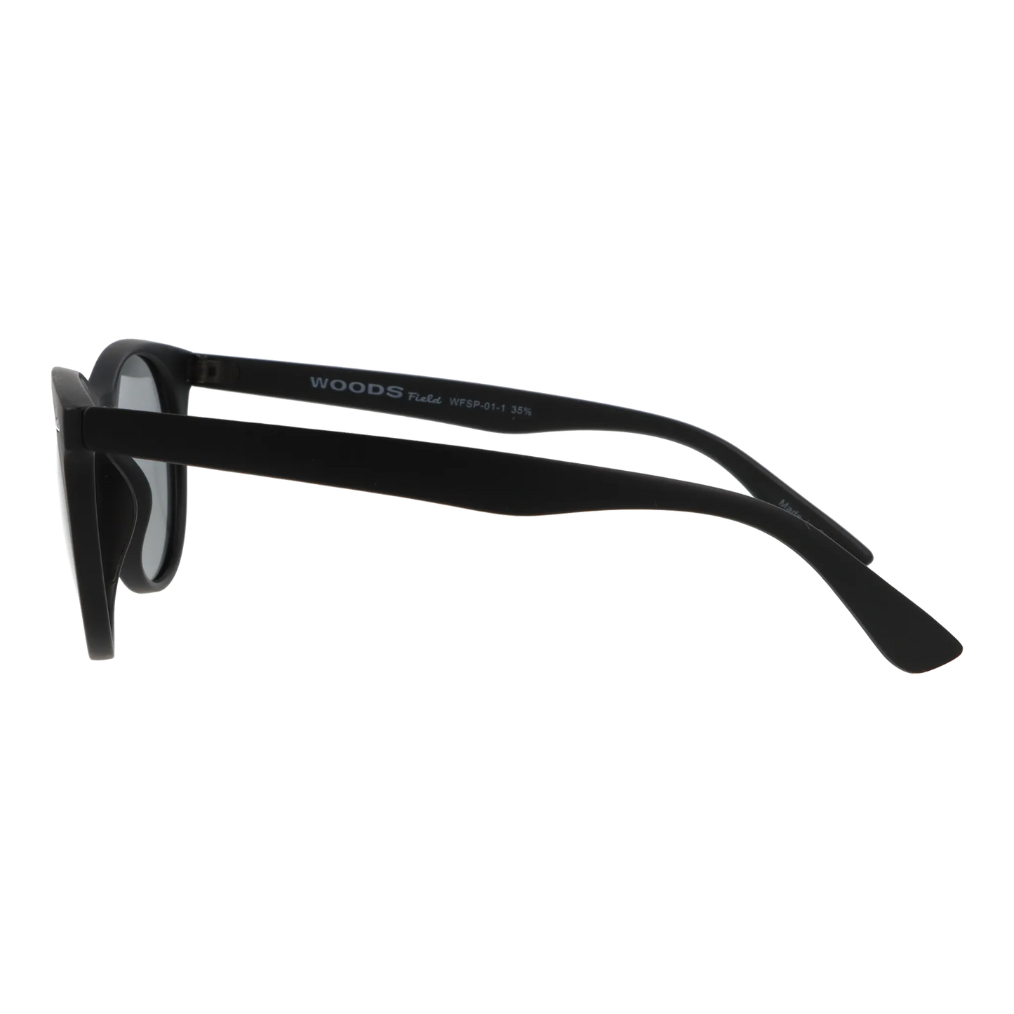 wfsp-01-c1 マットブラック/ライトスモーク