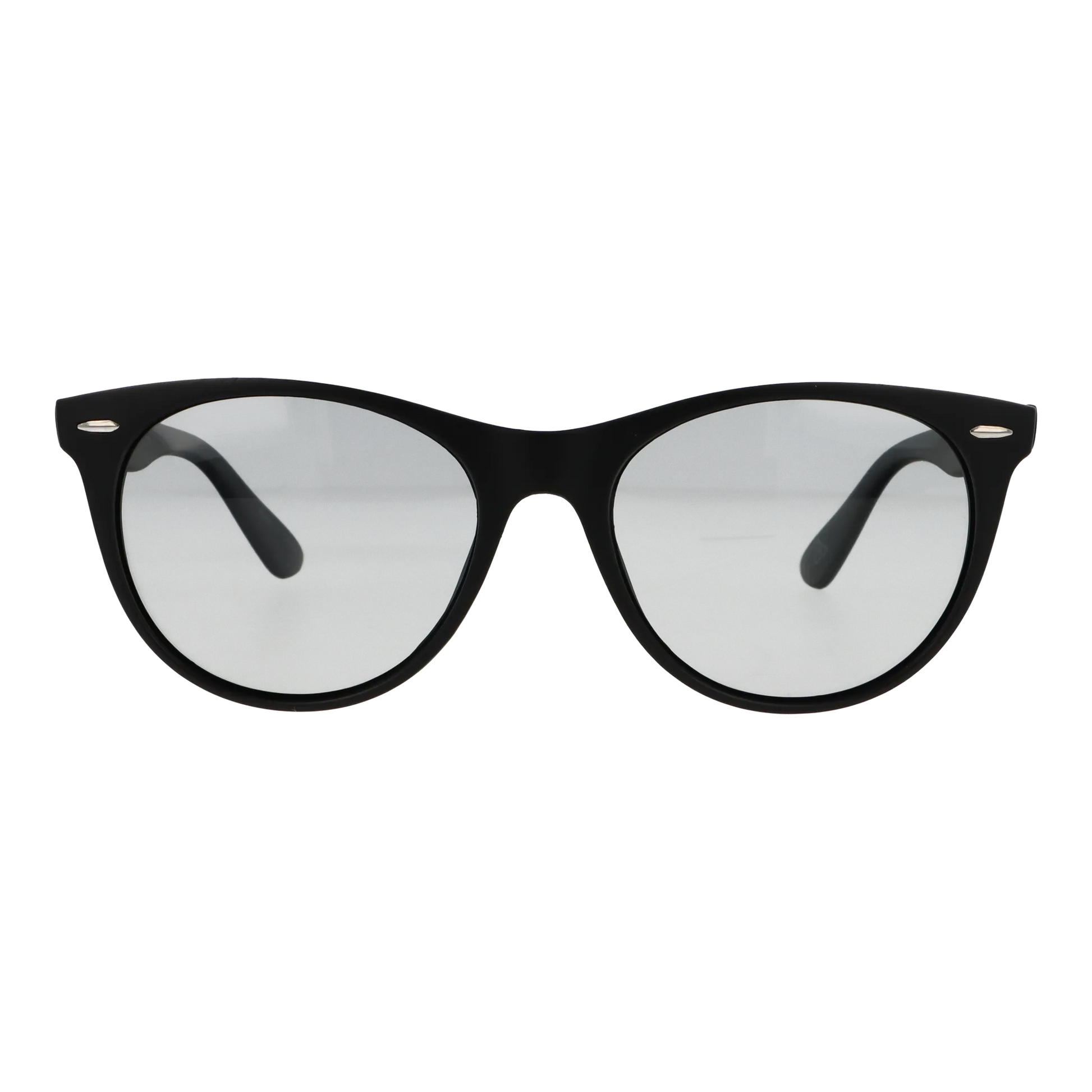 wfsp-01-c1 マットブラック/ライトスモーク