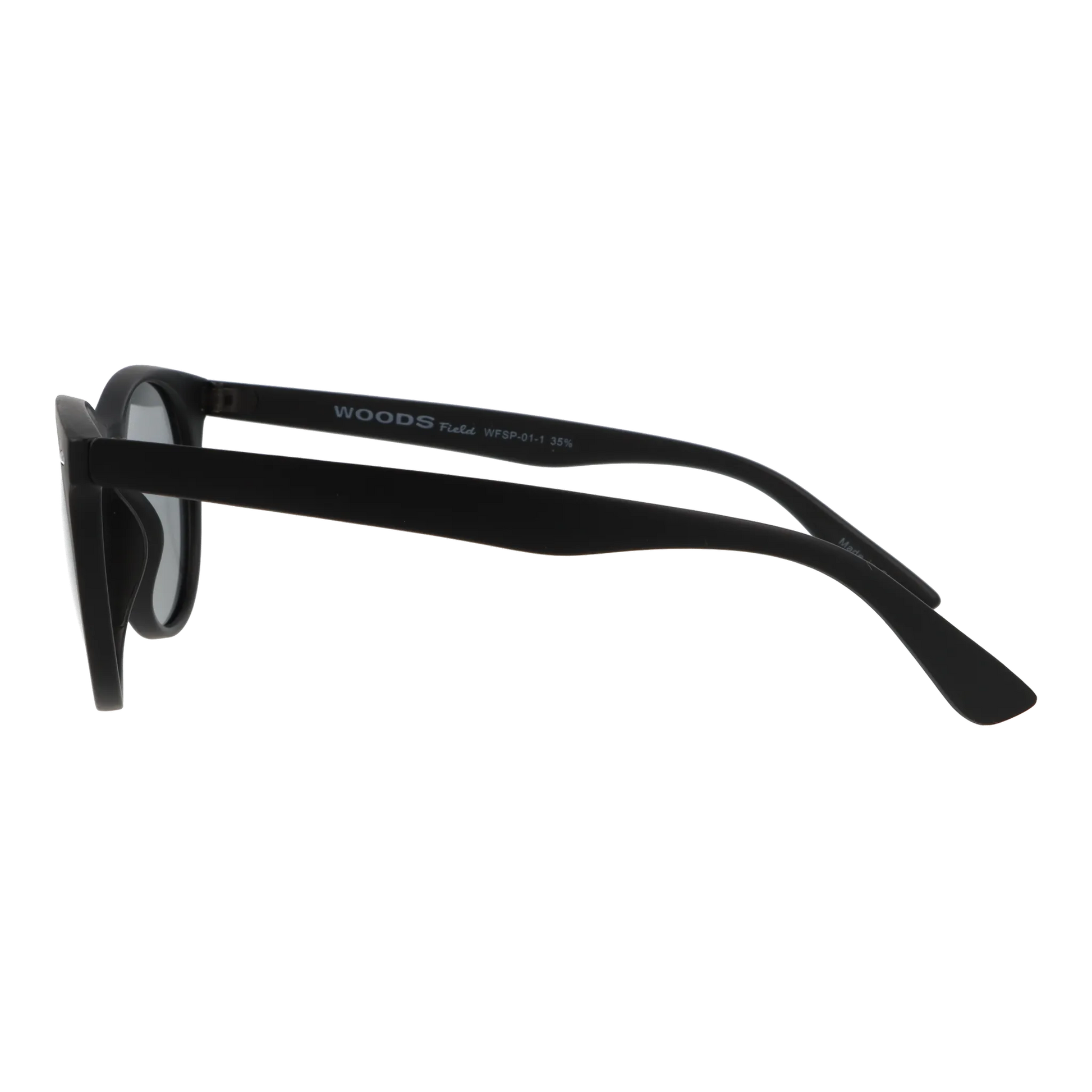 wfsp-01-c1 マットブラック/ライトスモーク